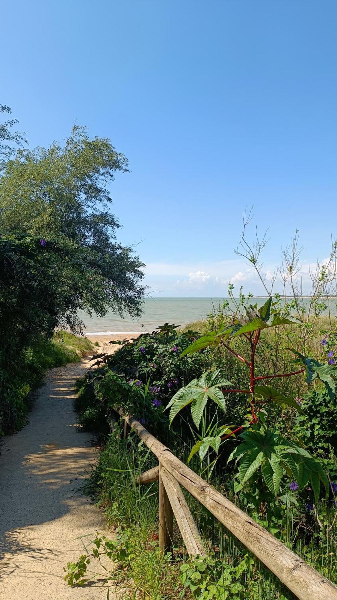 Moderno Apartamento Junto A La Playa Sanlucar de Barrameda Ngoại thất bức ảnh